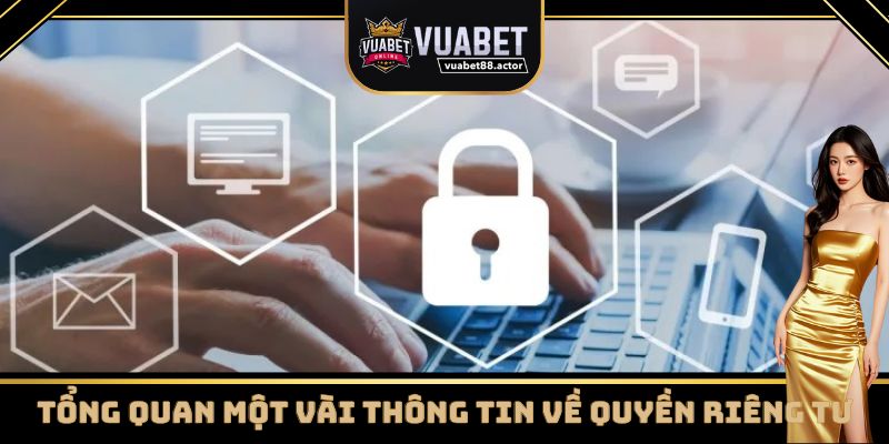 Giới thiệu chính sách quyền riêng tư của Vuabet88